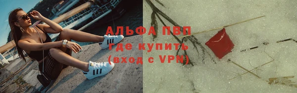 спиды Бородино