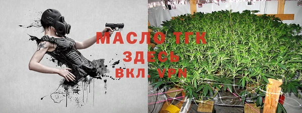 спиды Бородино