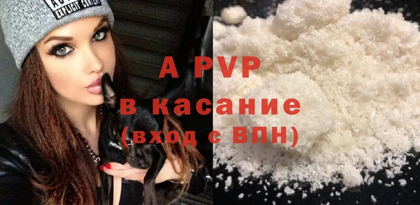 спиды Бородино