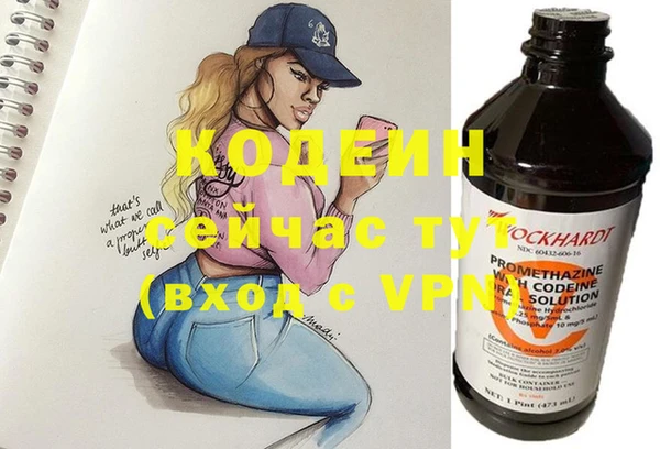 спиды Бородино