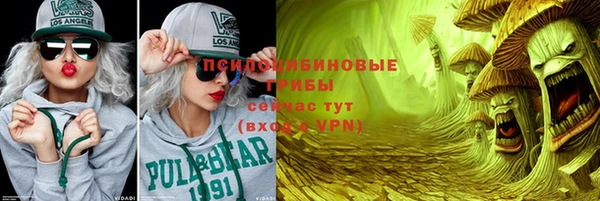 спиды Бородино
