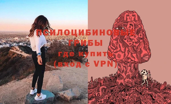 спиды Бородино